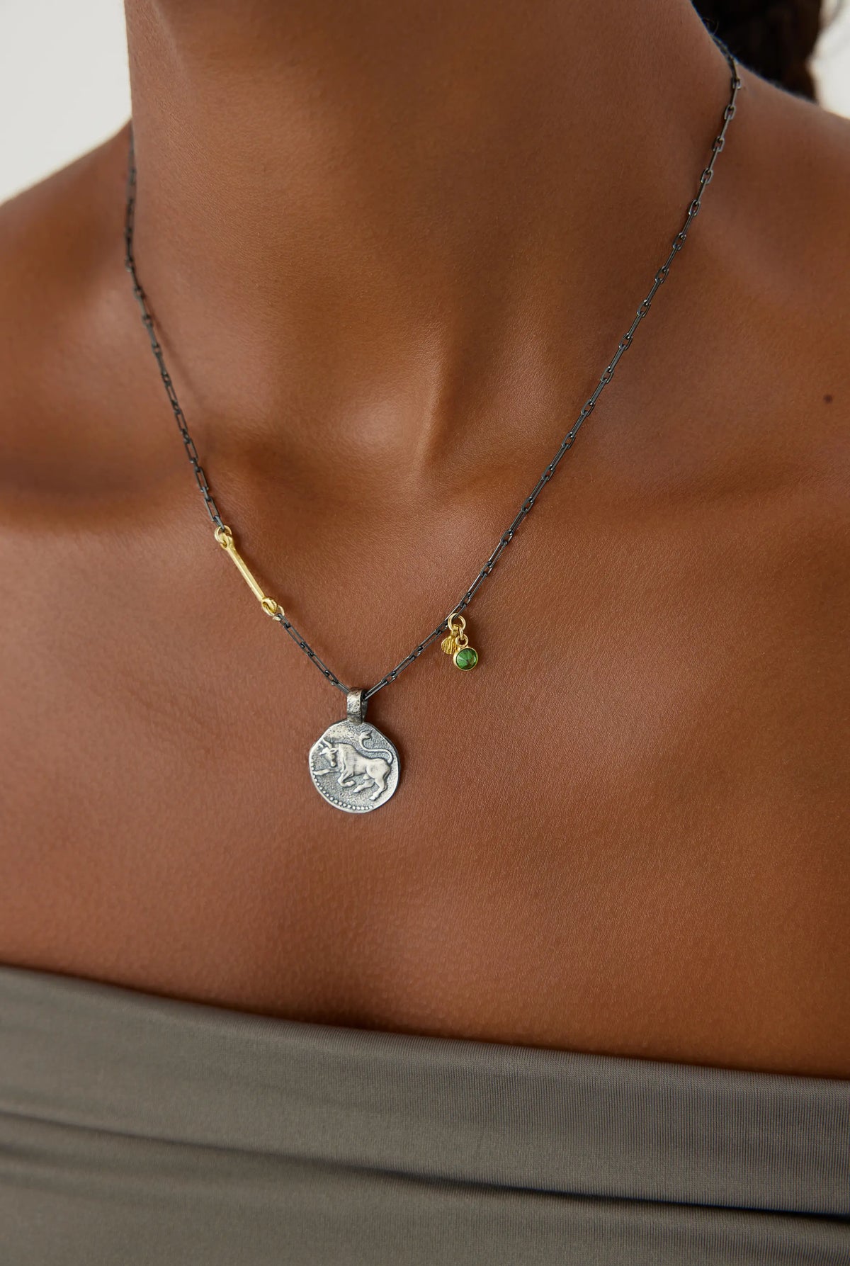 Ancient Zodiac Sign Necklace with Birthstone, 18K Gold-Plated Oxidized Sterling Silver